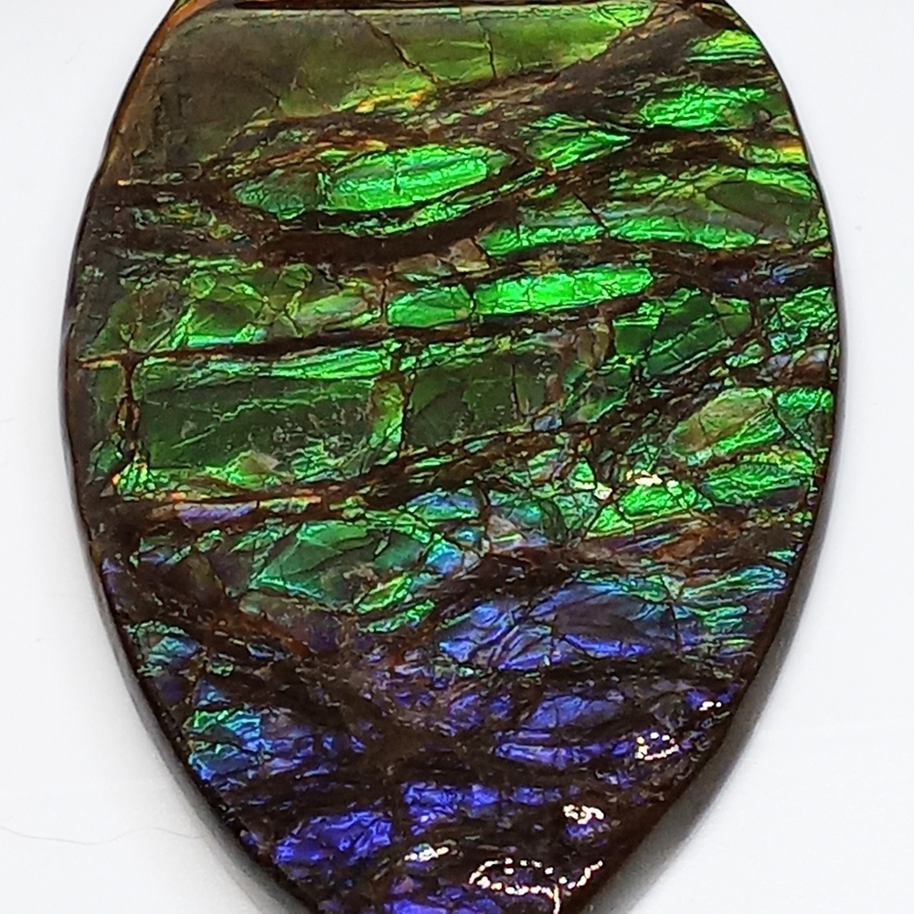 Ammolite Cabachon